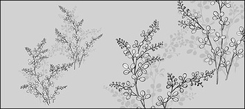 Line drawing of flowers -17