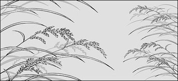 Flowers & Trees - Line drawing of flowers -23 