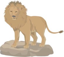 Lion 3