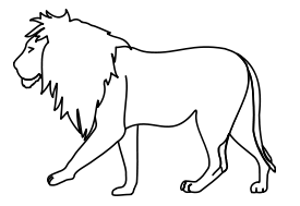 Lion Line Art