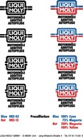 Liqui Moly guideline Preview