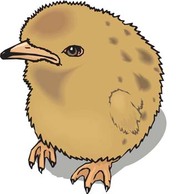 Animals - Little Chicken vector 4 