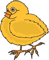 Animals - Little Chicken vector 6 