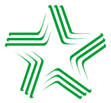 Logo Brazila Esperanto-Ligo Preview