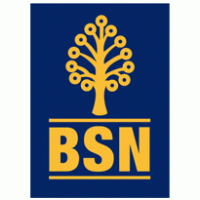 Logo Bsn Preview