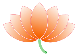 Nature - Lotus 