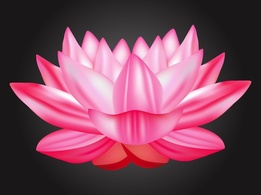 Nature - Lotus Vector 