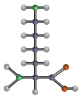 Lysine (amino acid)