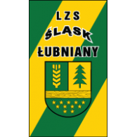 Football - LZS Śląsk Łubniany 