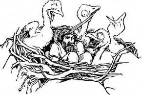 Animals - Man In A Bird S Nest clip art 