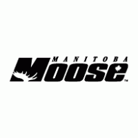 Hockey - Manitoba Moose 