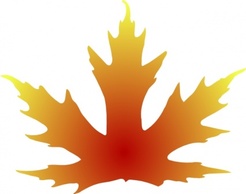 Shapes - Maple Leaf clip art 