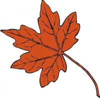 Nature - Maple Leaf clip art 