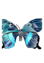 Mariposa