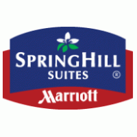 Hotels - Marriott Spring Hill Suites 