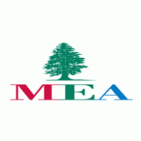 MEA (Middle East Airlines) Preview