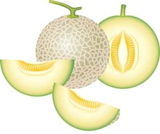 Melon 2 