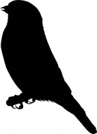 Michowwtru Gold Finch clip art Preview