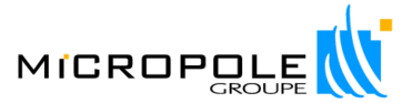 Micropole Groupe