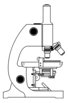 Microscope