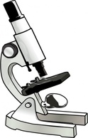 Microscope clip art 