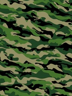 Military Pattern Vector Preview