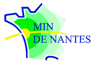 Min De Nantes Preview
