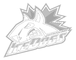 Mississauga Ice Dogs 