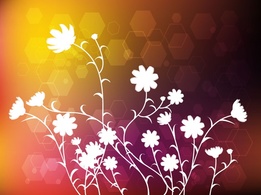 Backgrounds - Modern Floral Design 