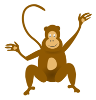 Monkey