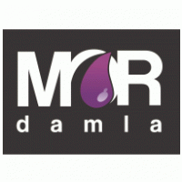 Software - Mor Damla Internet Software 