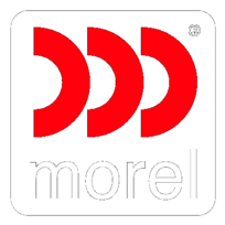 Morel 