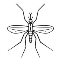 Mosquito