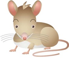 Animals - Mouse Vector 24 