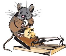 Animals - Mouse Vector 6 