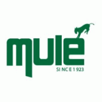 Mule Lighting