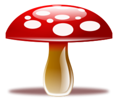 Mushroom