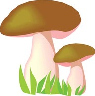 Nature - Mushroom 2 