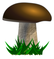 Mushroom, grybas