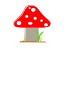 Mushroom / Seta 