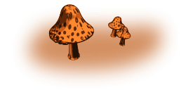 Mushrooms Preview