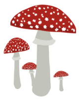 Mushrooms 4