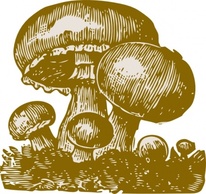 Flowers & Trees - Mushrooms clip art 