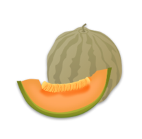 Musk Melon Preview