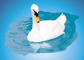 Animals - Mute Swan Vector 