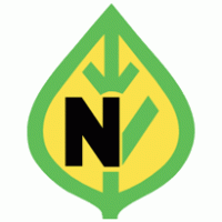 N logo