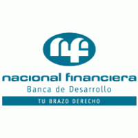 Nacional Financiera, SNC Preview