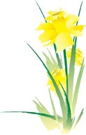 Flowers & Trees - Narcis Flower 14 