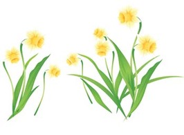 Flowers & Trees - Narcis Flower 3 