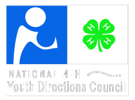 National 4 H Youth Directions Council